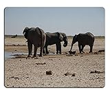 Mauspad Gaming-Mauspad Elefanten Trinken Ozonjutji m Bari Etosha Namibia Naturkautschukmaterial PN00X9625