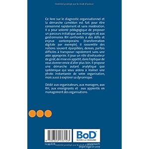 Diagnostic organisationnel : La démarche caméléon pour comprendre et agir en temps voulu
