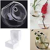 5. Tamaño del producto: 8 cm de diámetro, 3,5 cm de apertura, 12 cm de diámetro, 5,5 cm de apertura. Embalado en caja de espuma, bien protegido, si está dañado, podemos reembolso completo o reenviarlo de nuevo.