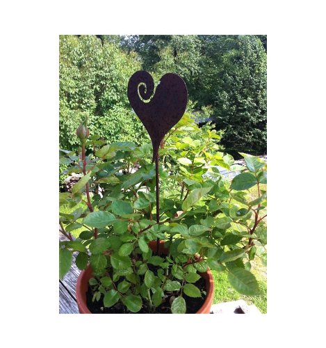Herz Gartenstecker in Edelrost – Herz Curl Stablänge 30 – 40 cm - 2