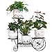 Produktbild Blumenregal ZJM Float Flower Stand Moderne Eisen Multi-Layer Indoor Blumentopf Rack Balkon Rack Wohnzimmer Standing Scindapsus Regal Gartenregal (Größe : L)
