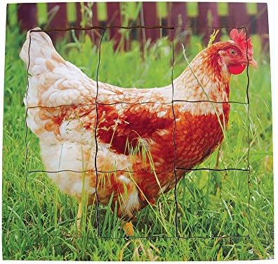 Just Jigsaws JJ640 Chicken Layered Life Cycle Tray Puzzle