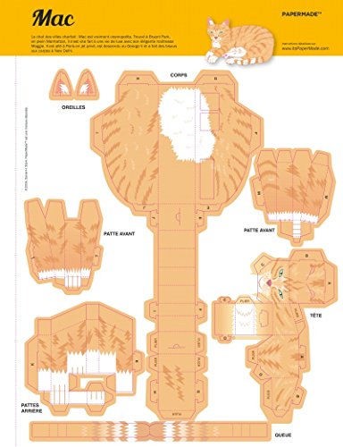 Book's Cover of Mes super paper toys chats : A détacher et à monter