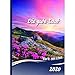 Die gute Saat 2020 - Buchkalender gebunden: Der evangelistische Kalender mit klarer biblischer Botschaft. Buchkalender by