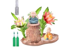 HOPASRISEE Terrarium Glücksholz, Veredeltes brasilianisches Holz, Brazil Lucky Wood, Glücksholz, Brasilianisches Glücksholz, Brazilian Wood Plant, Hydroponic Tree Stump Desktop Plants (Lotus leaf tray)