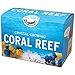 Produktbild Crystal Growing Coral Reef - Science Kit by Terraforming Kit