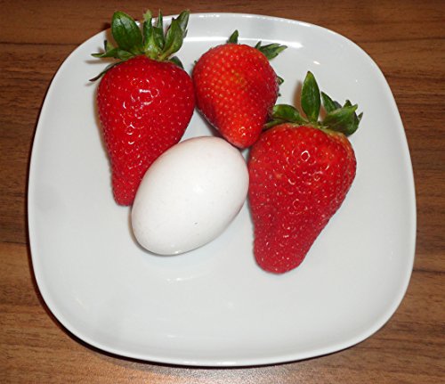 RIESENERDBEEREN – Die größte Erdbeere der Welt „Giant“ – ca. 100 Samen - 2