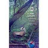 Instantanés d'ambre