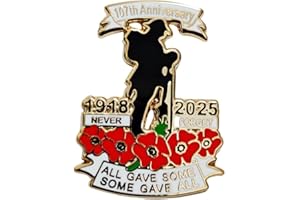LEVVIYE 107th Anniversary Red Poppies Badges Pins Military Army Veteran Solider Never Forget Remembrance Day Brooch