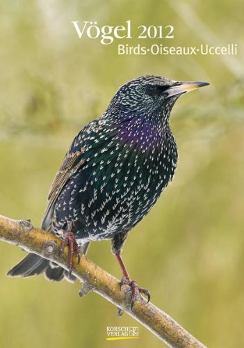 Großer farbiger Vogelkalender, Birds, Oiseaux, Uccelli 2012