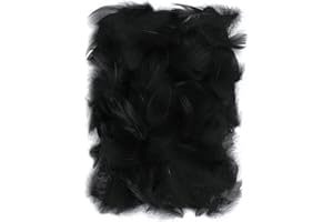 Netuno 150 pezzi piume nere 10g piume decorative per lavoretti abiti decorazione per capelli acchiappasogni orecchini carnevale costumi copricapo piuma naturale colorata nero