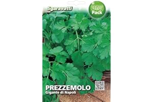 SGARAVATTI Busta Semi Orto Prezzemolo Gigante di Napoli