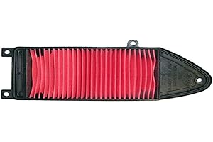 101_OCTANE Inserto De Filtro De Aire Para Agilidad, Super 8, Personas