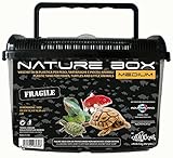 Haquoss Transportbox aus Kunststoff nature box Medium für...