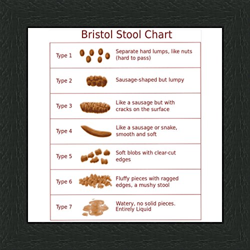 Bristol Stool Chart - 6 x 6'' Black Frame - Great Gift