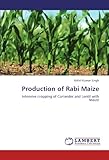 Image de Production of Rabi Maize: Intensive cropping of Coriander and Lentil with Maize