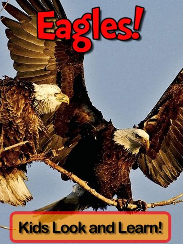 Eagles! Learn About Eagles and Enjoy Colorful Pictures - Look and Learn! (50+ Photos of Eagles) (English Edition) livre