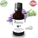KAZIMA Lavender Essential Oil (15ml) - 100% Pure, Natural & Undiluted Oil RS.276.00