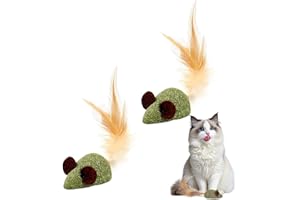 AYVRUOP 2 pièces Jouets pour Chat, Jouets à l'herbe à Chat, Jouets interactifs d'intérieur pour Chat, Cadeaux pour Chat.