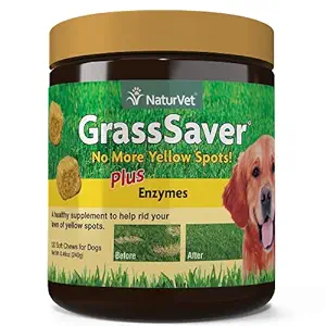 NaturVet 120 Count Grass Saver Soft Chews Jar with Cranberry and Enzymes for Dogs