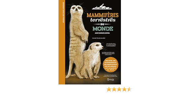 Amazon Fr Mammiferes Terrestres Du Monde Alonso Juan Carlos Chareyre Christine Livres