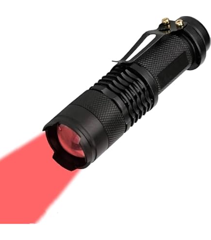 Nitecore EDC29 Torcia Ricaricabile, 6500 Lumen | Fare Acquisti
