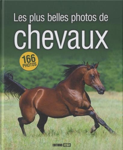 couverture de : Les plus belles photos de chevaux