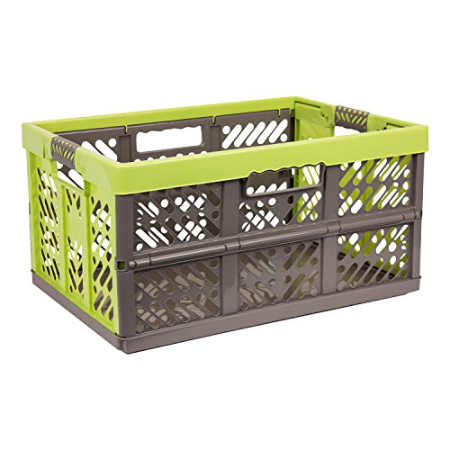 4 x keeeper Profi-Klappbox ”ben” (45 Liter / PP / grün-taupe) - 2