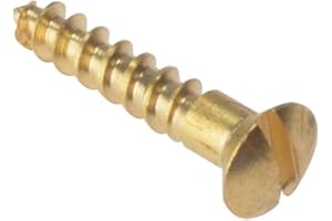 THOMPSON'S WATER SEAL Forgefix RAH586BR Solid Brass Raised Head Slotted Wood Screw