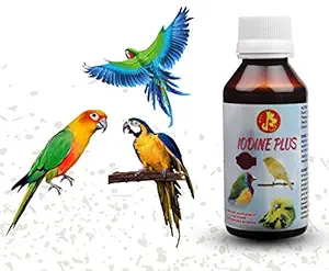Pet Care International (PCI) Iodine Plus || Provide Essential Iodine || for Healthy Bird Healthcare || Pack of 2 || 30ml x 2