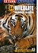 Wildlife Holidays in India RS.102.00