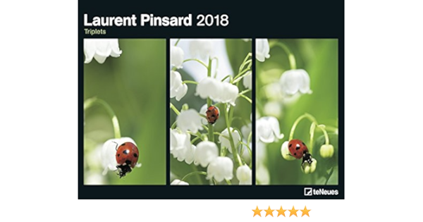 Laurent Pinsard 2018 Posterkalender Amazon De Bucher