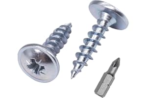 SKIR'CO (60 piezas) Acero chapado en zinc 5,0 x 16 mm Tornillos de madera plateada, tornillos de metal, cabeza de oblea, Pozidriv, autorroscantes