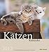 Der Katzenkalender 2013 by 