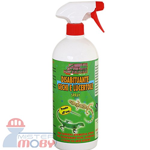 Come Eliminare I Gechi Dal Giardino