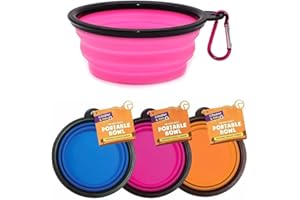 LETT Cooper n' Pals 1Pc Collapsible Dog Bowl Portable Silicone Collapsible Dog Water Bowl Pet Food Feeding Bowl Space Save Travel Dog Cat Bowl with Carabiner Carry Hook Small 350ml (12fl oz) (1pc x Pink)