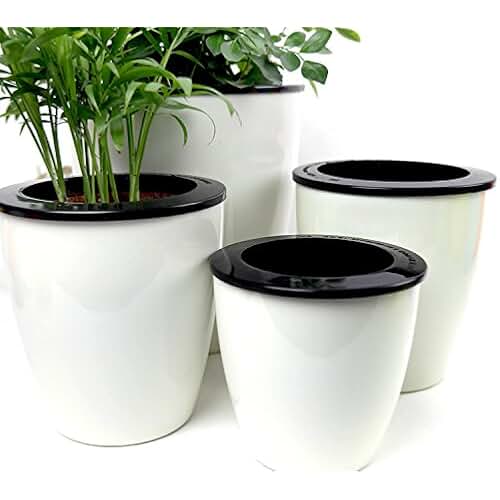 Amazon.co.uk plant pot caddy