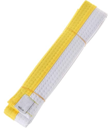 DEPICE Budogürtel Orange/grün - Karate & Judo Gürtel 4cm Breite