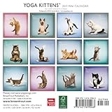 Image de Yoga Kittens Calendar 2013