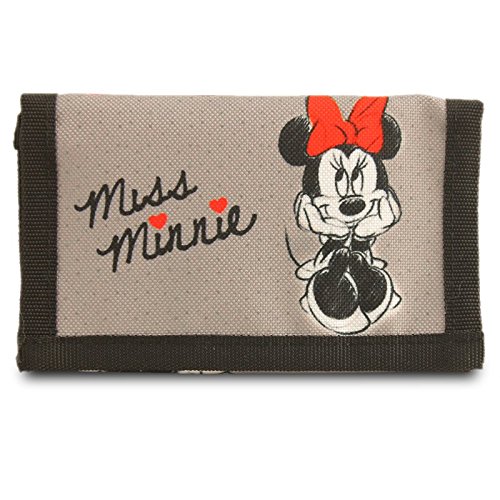 Preisvergleich Produktbild Disney Minnie Mouse DREAM COLLECTION Brieftasche