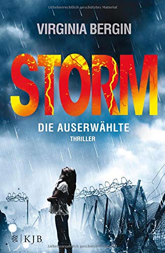 Preisvergleich Produktbild Storm – Die Auserwählte: Thriller (Rain)