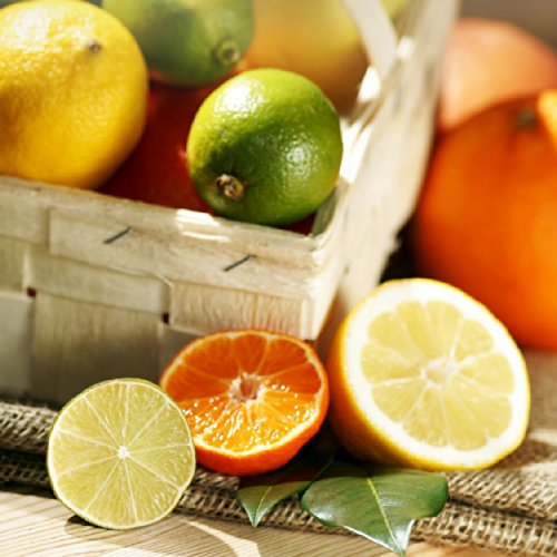 Gefu 13970 Zitruspresse Lemon - 3