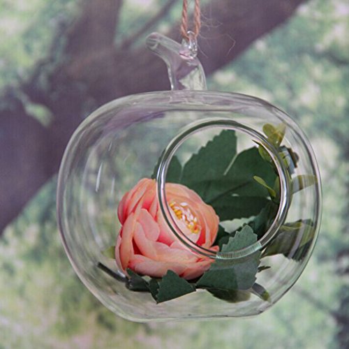 Klar Apfel Förmige Glas Hängen Vase Flasche für Pflanze Blume Schmuck - 4