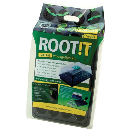 ROOT!T Value Kit di Propagazione con Spugne per la Radicazione