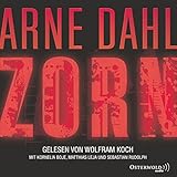 Cover zum Buch Zorn