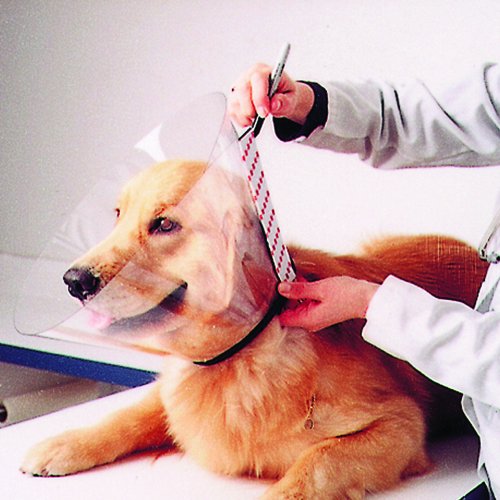 3M-Clear-Custom-Fit-Collar