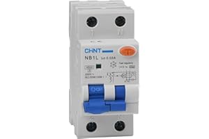 Chint Interruttori Magnetotermici Differenziali Serie NB1L Curva C, cod. 203337 (NB1L1 Tipo A, 230Vac-25A-30mA)