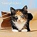 Produktbild Samtpfötchen 2020 - Broschürenkalender - Wandkalender - Katzenkalender - mit herausnehmbarem Poster - Format 30 x 30 cm