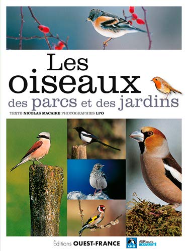 Télécharger Les oiseaux des parcs et des jardins : De l'Accenteur mouchet au Verdier d'Europe Gratuit