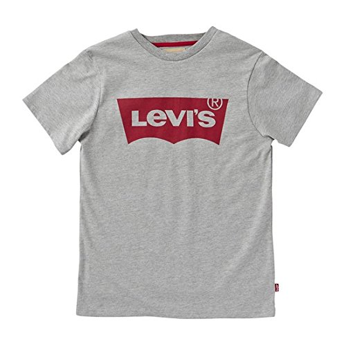 Levi's kids Short Sleeves Batwin T-Shirt, Camiseta para Niños, Gris (Grey Melange 20), 14 años